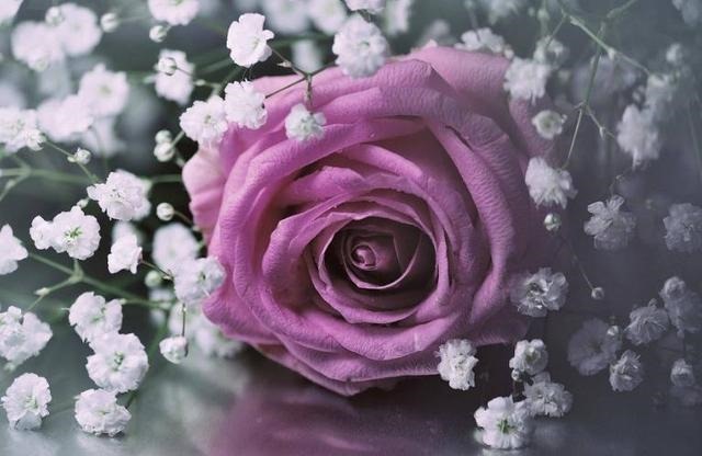 clip_image003