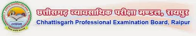 Chhattisgarh Professional Examination Board Recruitment 2013