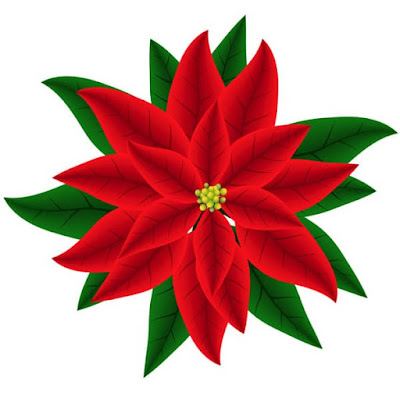 poinsettia08