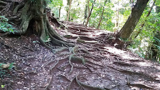 人文研究見聞録：物部神社の御神墓（宇摩志麻遅命の墓） ［島根県］