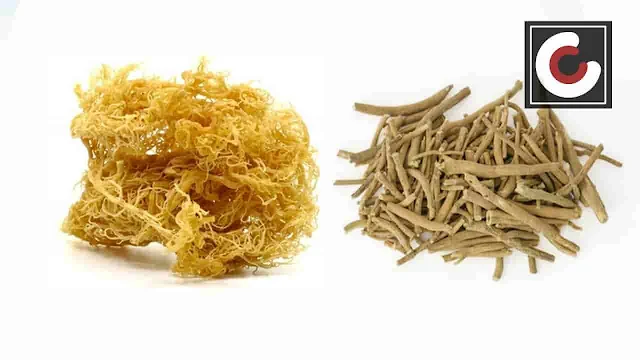 sea moss and ashwagandha benefits