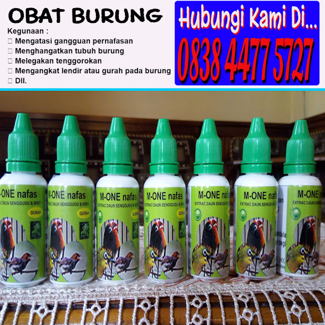 Harga Obat Burung Pilek Tradisional