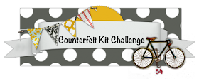 Counterfeit Kit Challenge