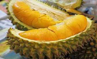  resep masakn dari buah durian