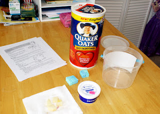 Supplies for our mealworm house...oats, apple chunks, damp sponges, recycled plastic bucket and mealworms. The instructions called for damp paper towels, but I thought sponges might work better.