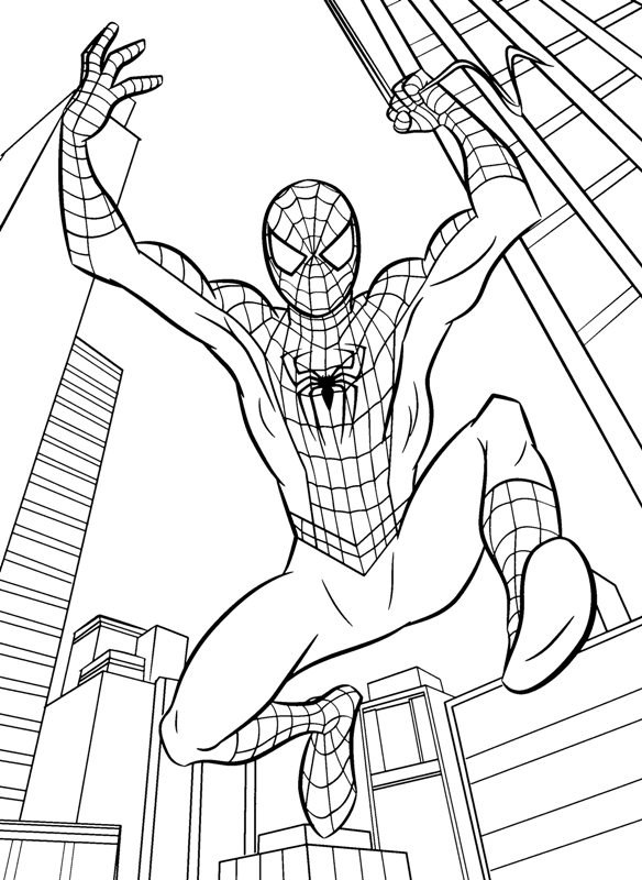 Mewarnai gambar  spiderman si super hero  yang keren