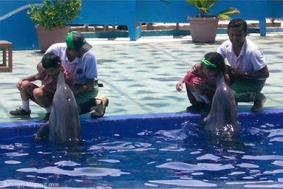 Tempat Wisata Pantai Sigandu dengan Batang Dolphin Centre di Batang Tempat Wisata Pantai Sigandu dengan Batang Dolphins Center di Batang