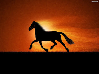 Black Horse Wallpapers