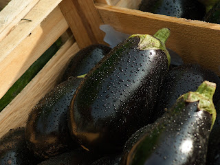 desinfectar verduras embarazo desinfectante frutas y verduras mercadona desinfectante verduras carrefour cantidad de lejia para desinfectar verduras