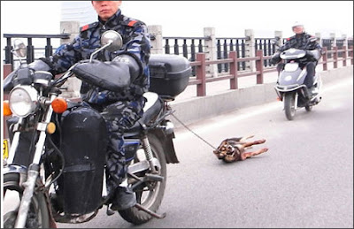 angkatigabelas.blogspot.com : Kejam, Anjing Ini Diseret Menggunakan Motor di Jalanan