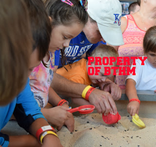 shark tooth dig