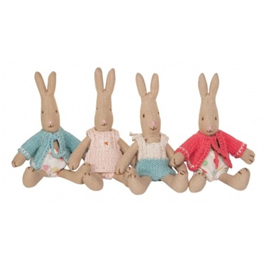 rabbit mini