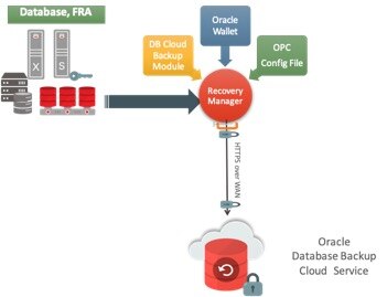 Oracle Database Tutorial and Material, Oracle Database Certification, Oracle Database Exam Prep