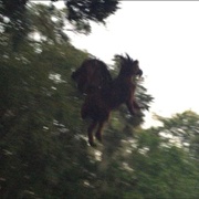 Jersey Devil