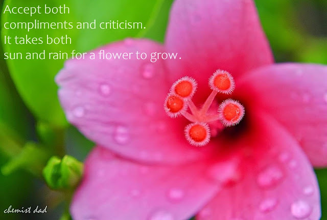 Inspirational Quotes, captured moments, quotes about life, life quotes, quotes about flower, 