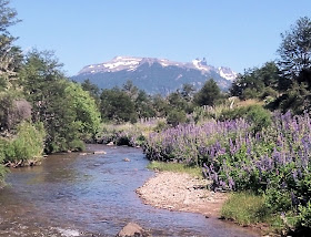 Streamside Adventures Chile Fly Fishing