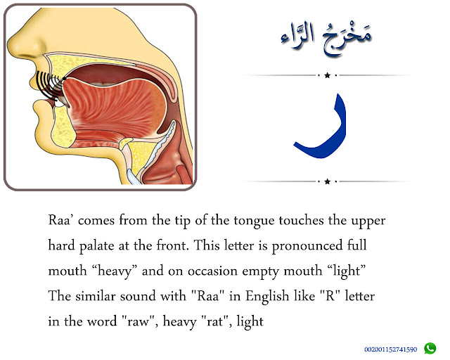 The Articulation Point of Raa