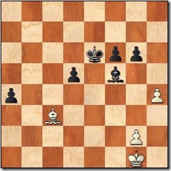 opposite_bishop_143