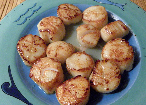 plate of freshly seared scallops