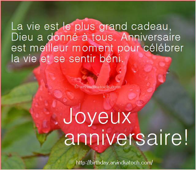 Happy Birthday Card, French Card, Joyeux anniversaire, carte,