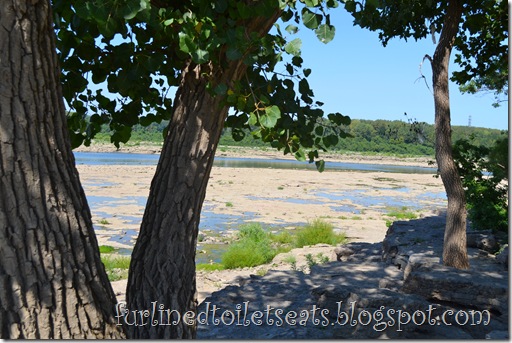 The falls of the ohio 004