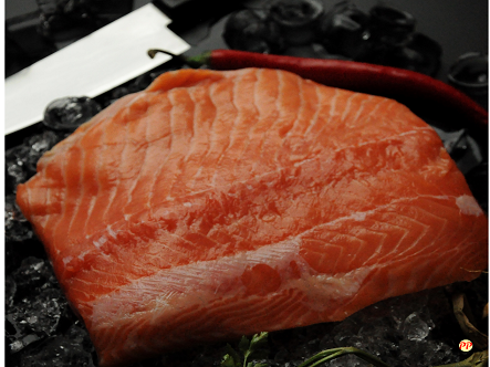 Update Harga Ikan Tuna 1 Kg (Sirip Biru, Kuning, Segar & Olahan)