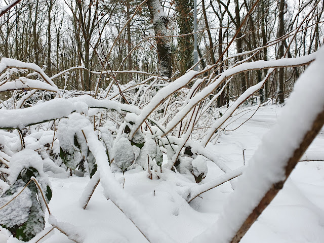 Winter in Naarden en Huizen