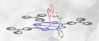 Polymer nicotine trap