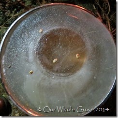 winter solstice runes
