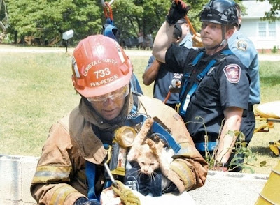 Animals Being Rescued Seen On www.coolpicturegallery.us