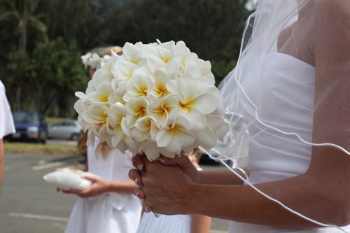 Hawaiian weddings Plumeria Wedding Bouquet on Maui