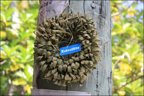 Estrellita wreath at Suwarrow