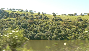 P1190562