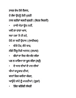 Punjabi Bujartan with Answer Pics