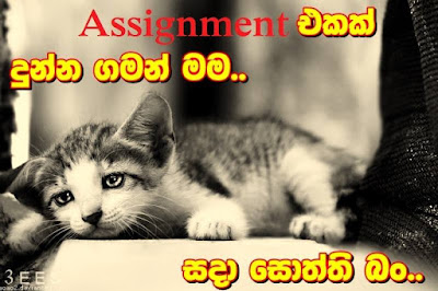 Sri Lanka Students Jokes Campus funny fun images Facebook Meme සිංහල ජෝක්ස් සිංහල විහිලු කතා ශ්‍රී ලංකාවේ විහිළු කතා විශ්වවිද්‍යාල කතා කැම්පස් 