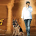 Legend Telugu Movie HD Wallpapers