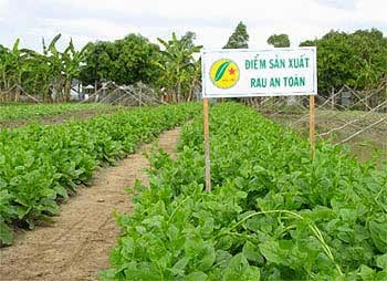 Cẩm nang trồng rau an toàn - Hội nông dân Tây Ninh