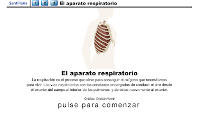 http://www.ceiploreto.es/sugerencias/animaciones/ciencias/aparespi.swf