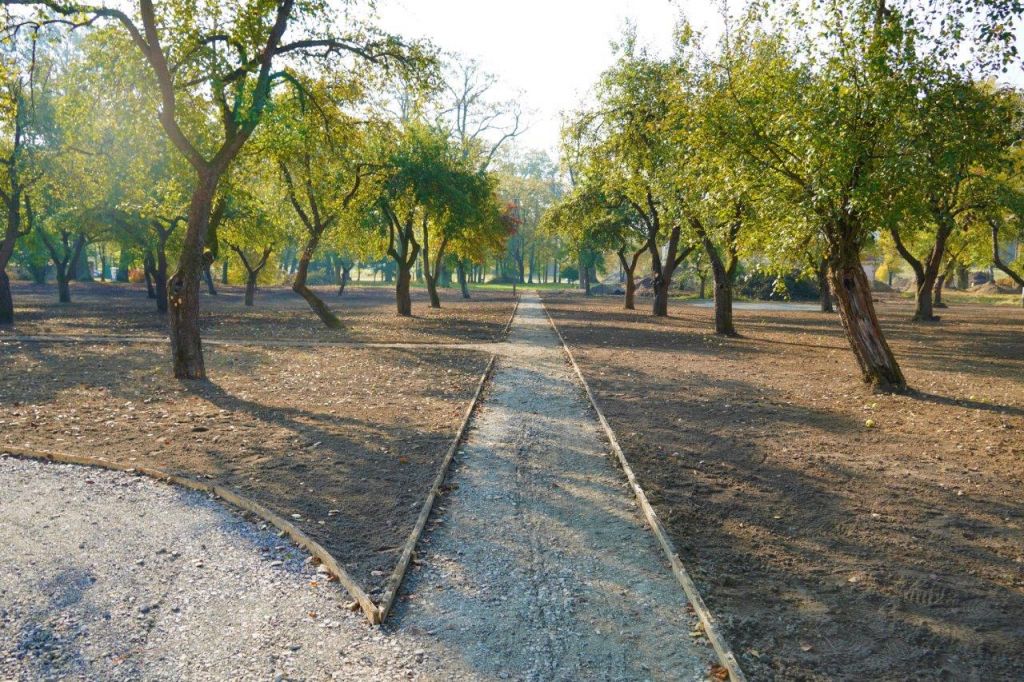 Rewitalizują park przy dworku Hupki [FOTO]