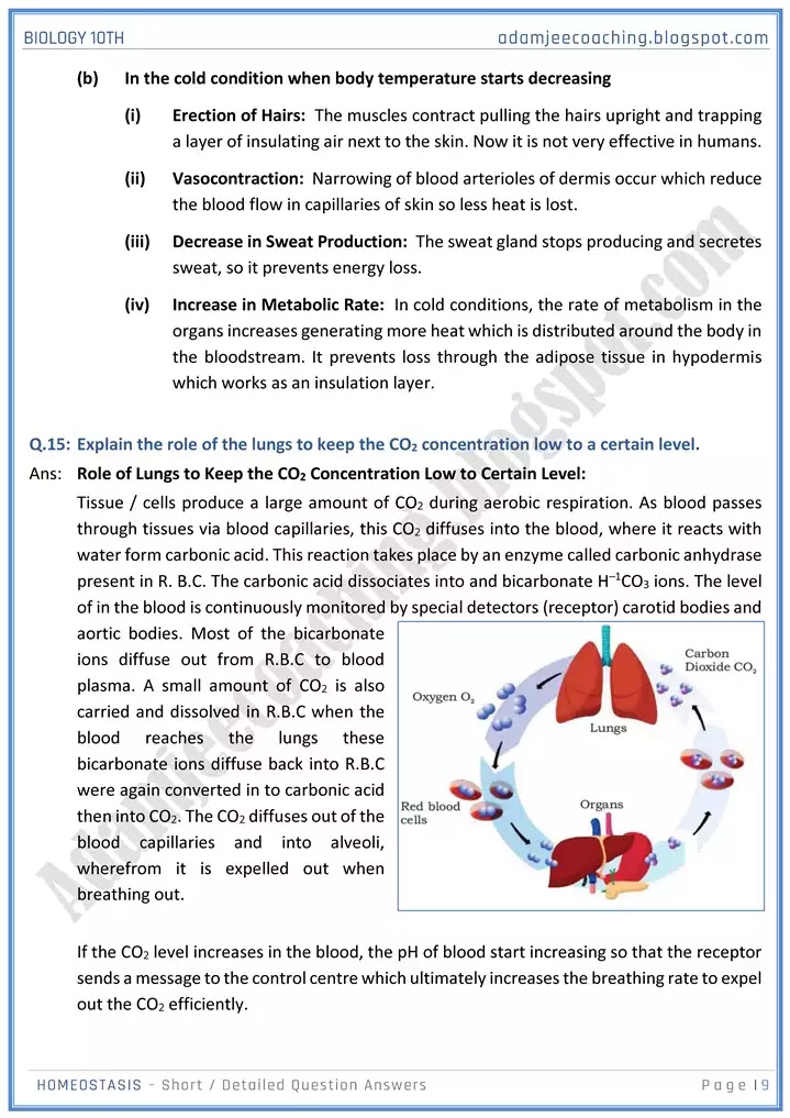 homeostasis-short-and-detailed-answer-questions-biology-10th