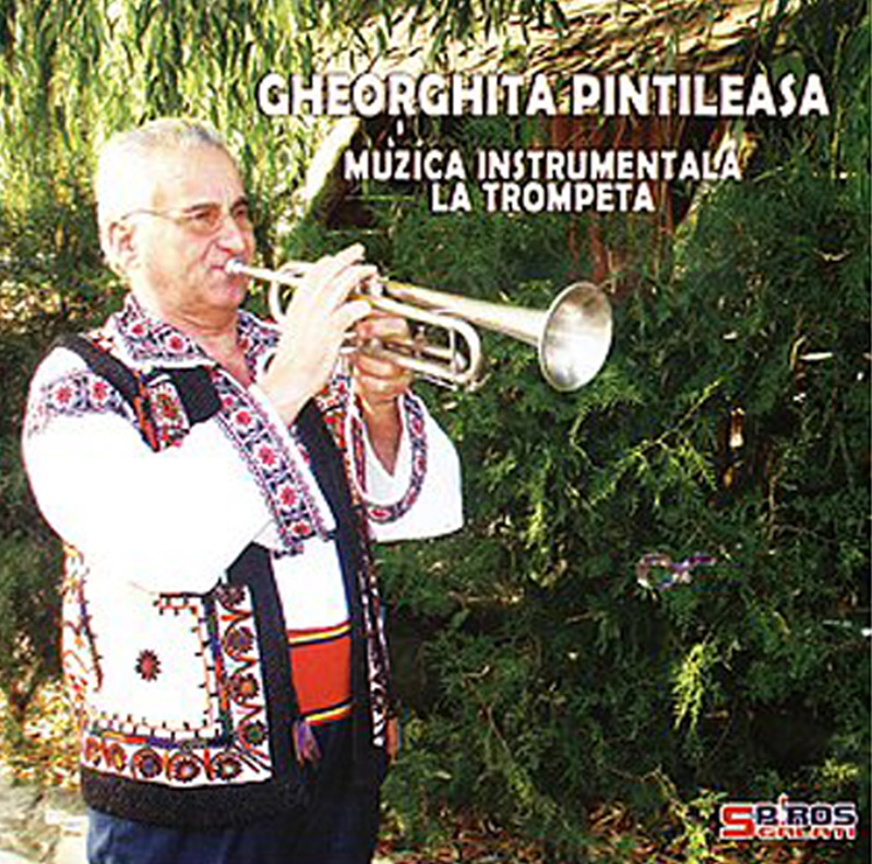 gheorghe pintileasa