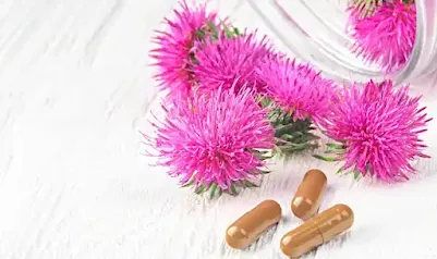 milk thistle benefits for kidneys