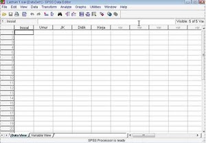 Mahir Pengolahan Data Dgn SPSS 4