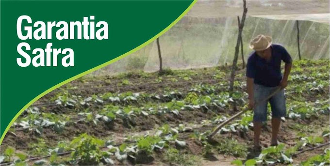 Prazo para o pagamento do boleto do Garantia-Safra encerra nesta quinta-feira (28)