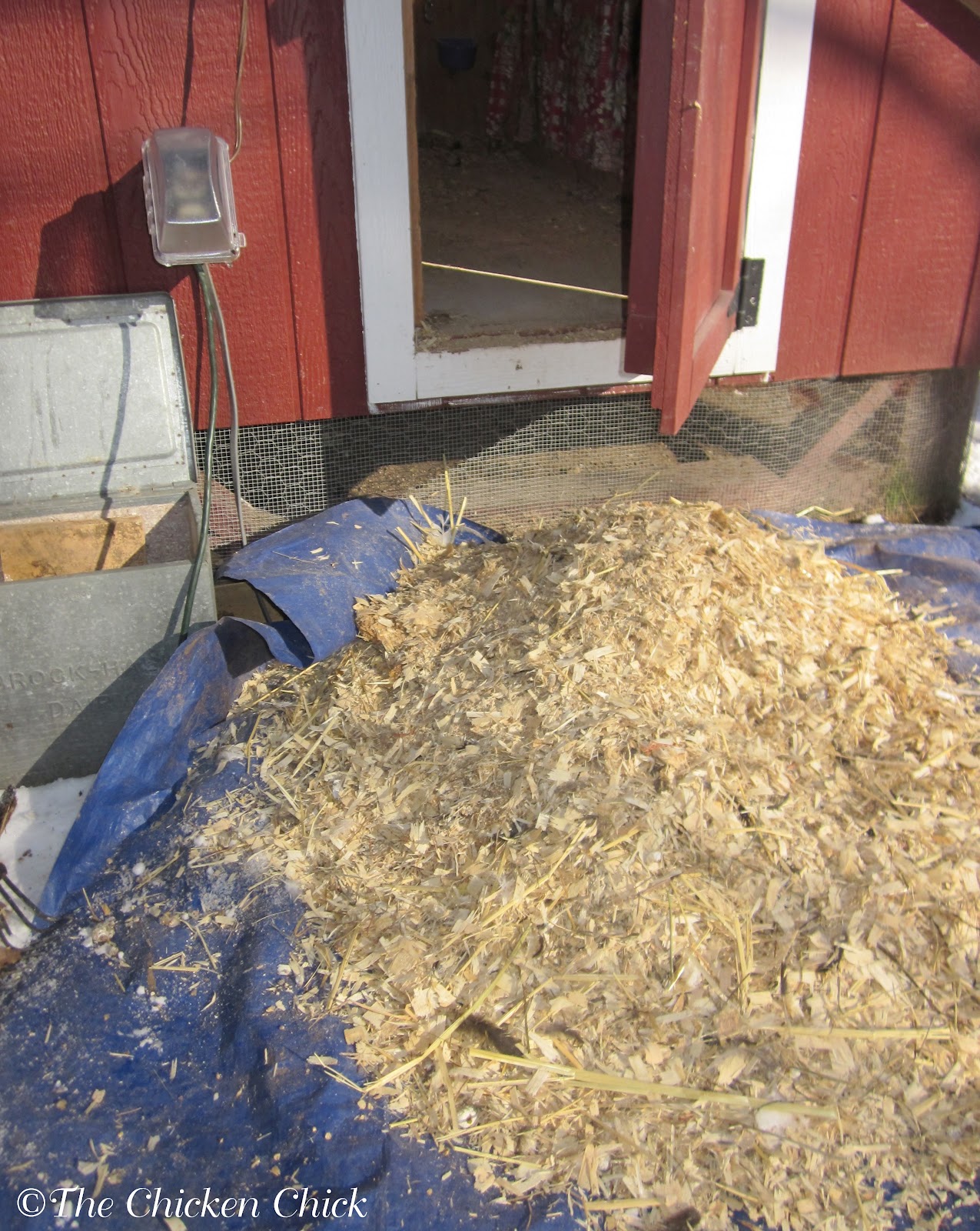 The Chicken Chick®: Chicken Coop Bedding: Sand, the Litter Superstar