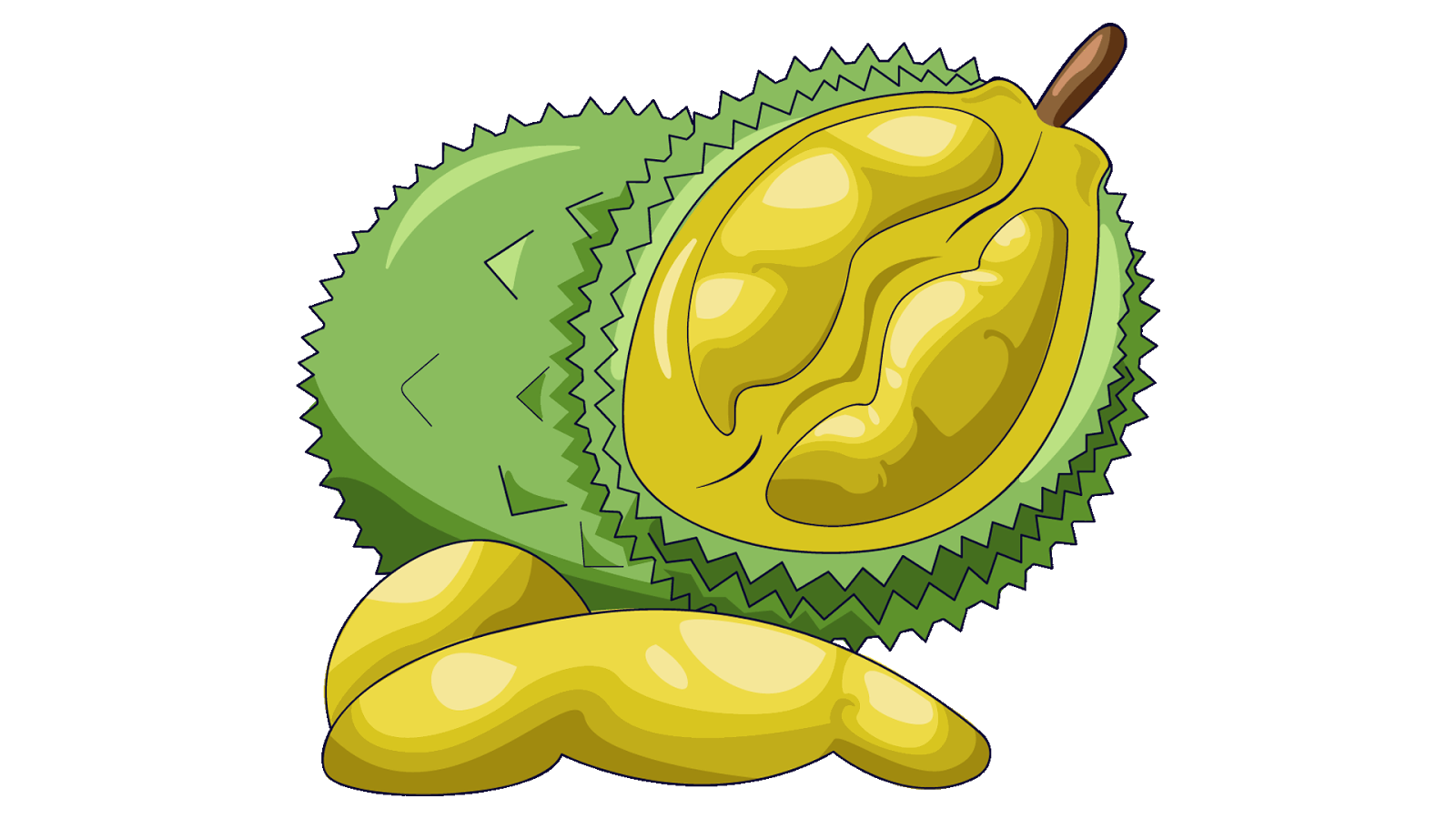 Download 12 Clipart Buah Durian Wwwbuahazcom