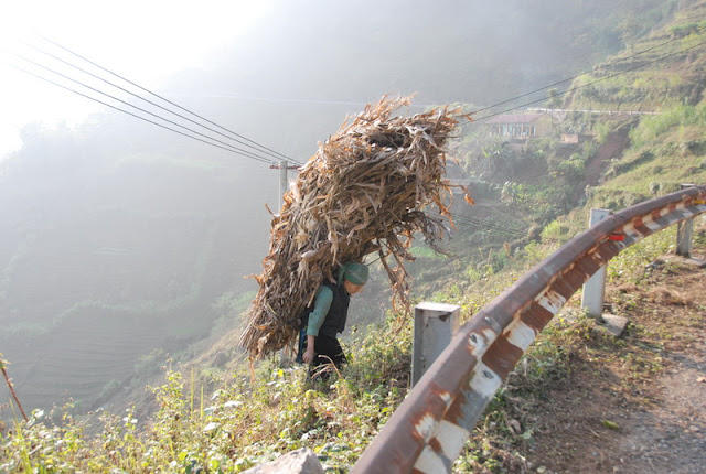 Travel Vietnam Blog