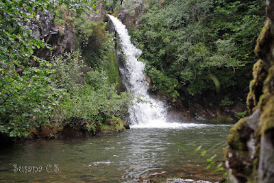 Cascada de los Forfogones - Día Mundial del Agua