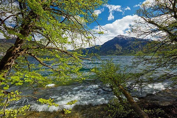 Föhnsturm am Zugersee am 24. April 2019 - mit Rigi