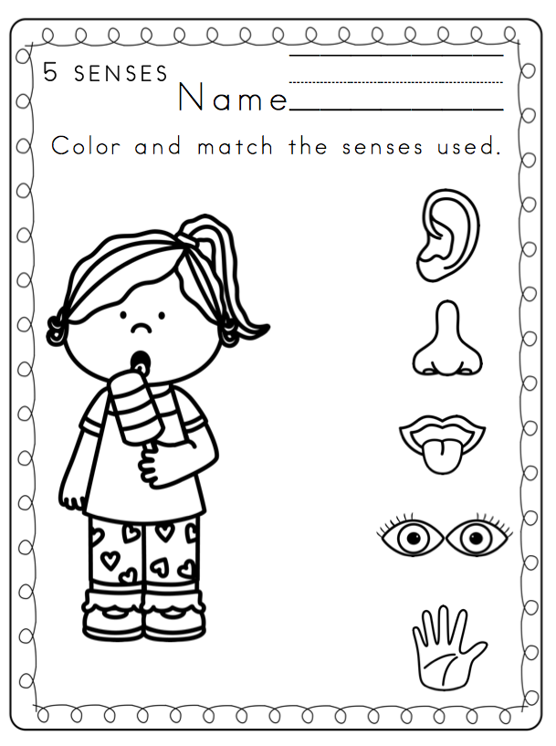 Preschool Printable worksheets five Senses preschoolers 5  for free senses Printables: Toddler